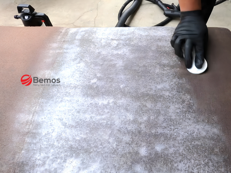 Mẹo xử lý sofa da bị mốc chuyên nghiệp tại nhà