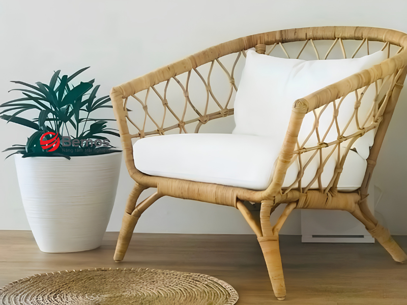 Mẹo giữ mây không bị ẩm mốc, chùng võng trong điều kiện khí hậu nóng ẩm