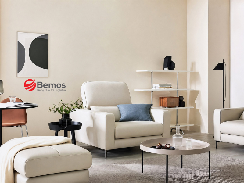 Các loại sofa văn phòng dưới 10 triệu thịnh hành 2026