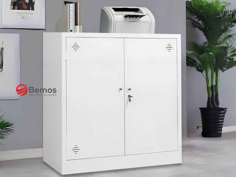 Tủ tài liệu 2 cánh