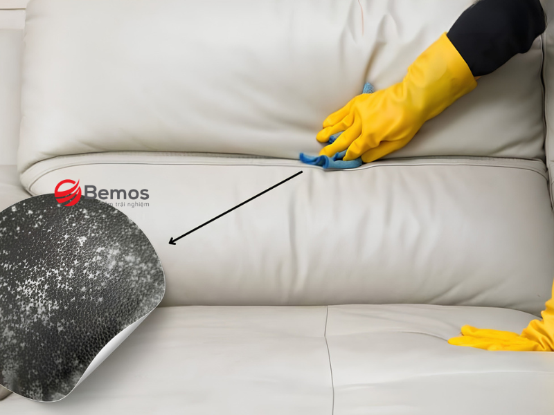 Những lỗi phổ biến khiến sofa da nhanh bong tróc và hỏng